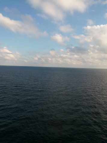 The vast blue view found outside on the ships balcony