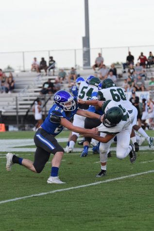 Eagles Soaring High