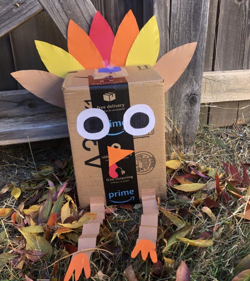 Turkey Crafts