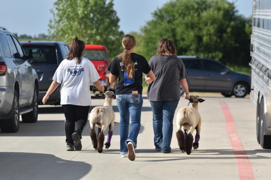 FFA is an organization that helps teach students leadership skills and agriculture techniques.